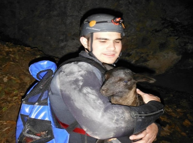 在皮纳尔德阿莫莱斯